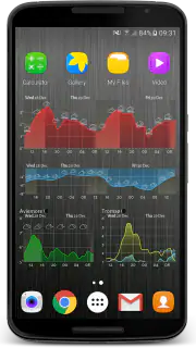 Meteogram Pro Weather Widget screenshot 4