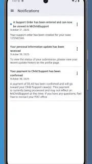 MiChildSupport screenshot 8