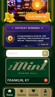 Mint Gaming screenshot 1