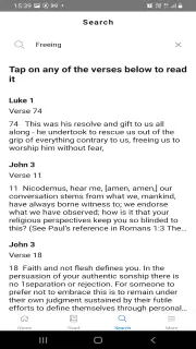 Mirror Study Bible screenshot 5