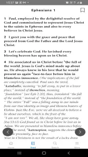 Mirror Study Bible screenshot 8