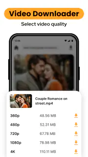 mp4 video downloader screenshot 2