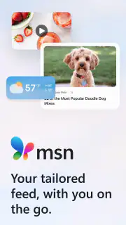 MSN screenshot 1