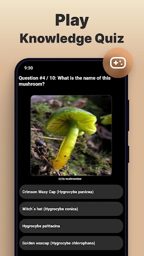 Mushroom Identification screenshot
