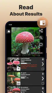 Mushroom Identification screenshot 3