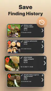 Mushroom Identification screenshot 4