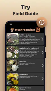 Mushroom Identification screenshot 5