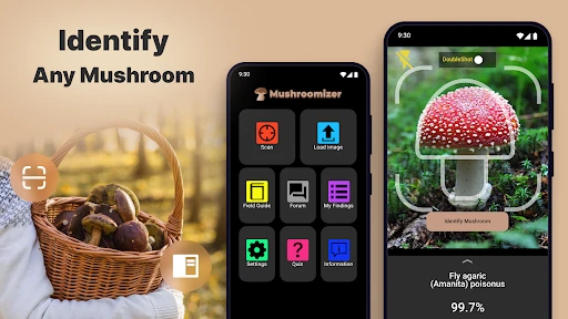 Mushroom Identification screenshot