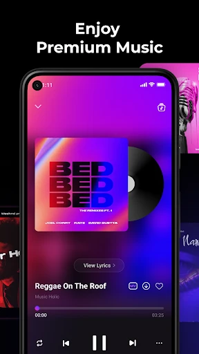 Music Echo-Offline Music screenshot