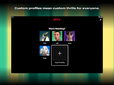 Netflix screenshot