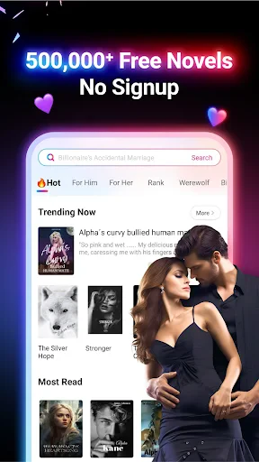 NovelFlow screenshot