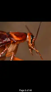 NPMA Field Guide PRO screenshot 2