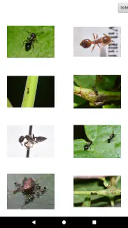 NPMA Field Guide PRO screenshot 5