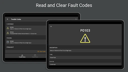 OBD Fusion (Car Diagnostics) screenshot