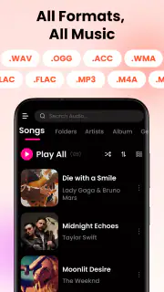 Offline Music Player: Play MP3 screenshot 2