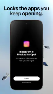 Opal Screen Time Limit & Timer screenshot 3