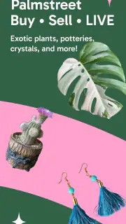 Palmstreet - Live shopping screenshot 1