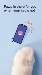 Pawp: 24/7 Vet & Pet Care screenshot 5