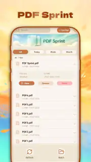 PDF Sprint screenshot 1