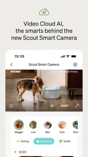 Petlibro screenshot 8