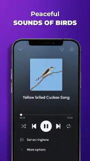 Phone Ringtones screenshot 7