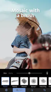 Photo Blur & Mosaic Effects screenshot 2
