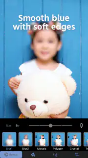 Photo Blur & Mosaic Effects screenshot 3