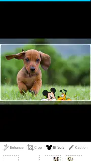 PhotoShare Frame v2 screenshot 5