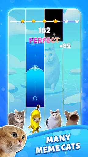 Piano Cat 2: Meme Music Game screenshot