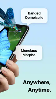 Picture Insect: Bug Identifier screenshot 2
