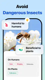 Picture Insect: Bug Identifier screenshot 3