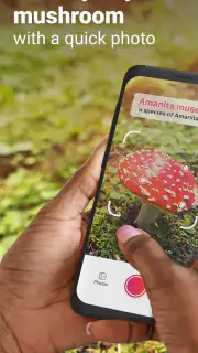 Picture Mushroom - Mushroom ID screenshot 1