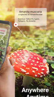 Picture Mushroom - Mushroom ID screenshot 2
