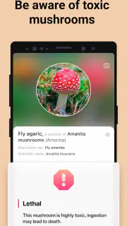 Picture Mushroom - Mushroom ID screenshot 3