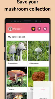 Picture Mushroom - Mushroom ID screenshot 5