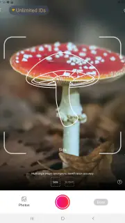 Picture Mushroom - Mushroom ID screenshot 6