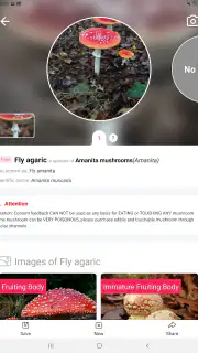 Picture Mushroom - Mushroom ID screenshot 7