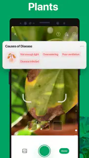 PictureThis - Plant Identifier screenshot 4