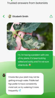 Plant App - Plant Identifier screenshot 6