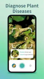 Plant Identifier & Plant Care screenshot 2