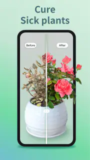 Plant Identifier & Plant Care screenshot 3