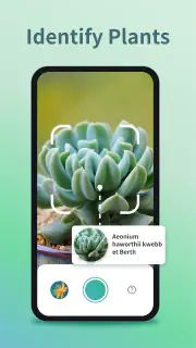 Plant Identifier & Plant Care screenshot 5