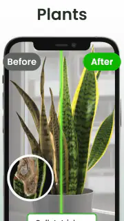 Plant Identifier: Plantiary screenshot 3