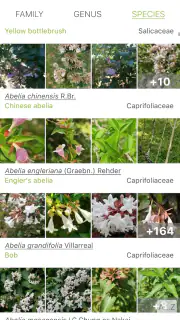 PlantNet Plant Identification screenshot 3