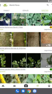 PlantNet Plant Identification screenshot 7