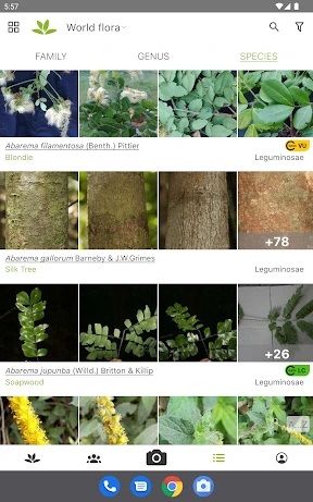 PlantNet Plant Identification screenshot