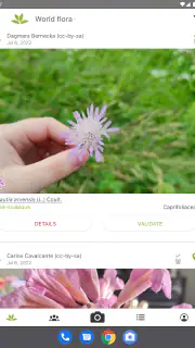PlantNet Plant Identification screenshot 8