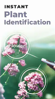 PlantSnap: plant identifier screenshot 8