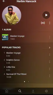 Plexamp screenshot 2