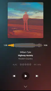Plexamp screenshot 3